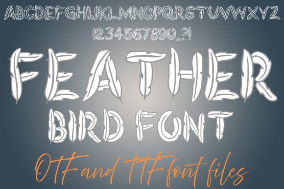 Feather Bird Font: A Whimsical Display Typeface for Scroll-Stopping Visuals