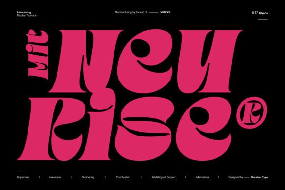 Mit Neurise Display Font for Elegant Handmade Products
